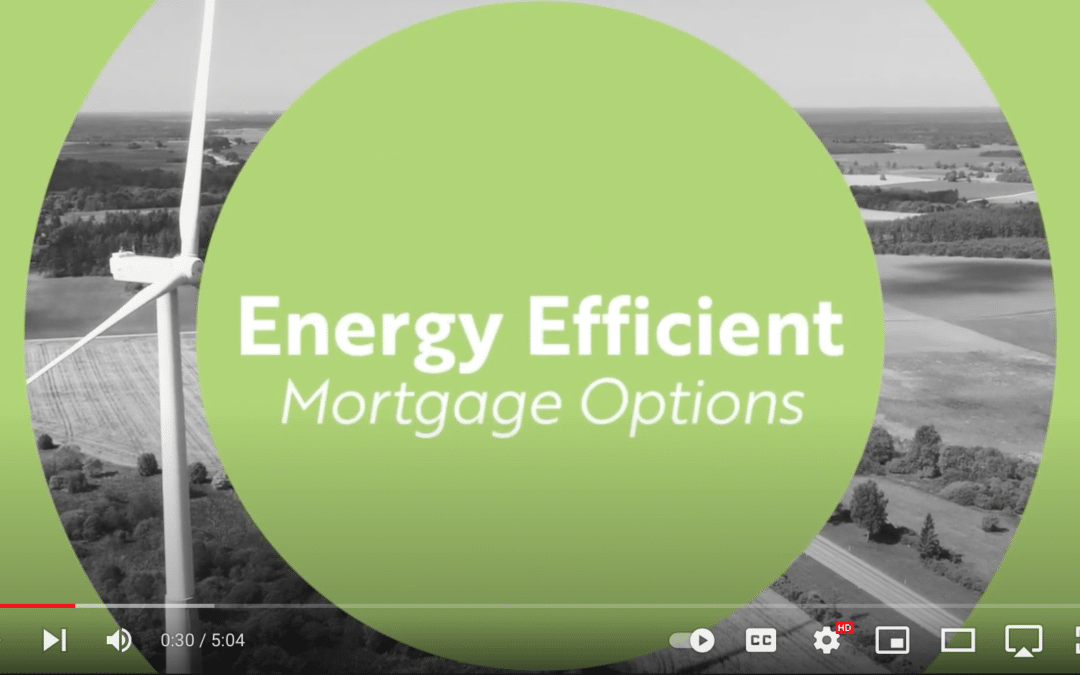 Making Your Home Green with an Energy Efficient Mortgage￼